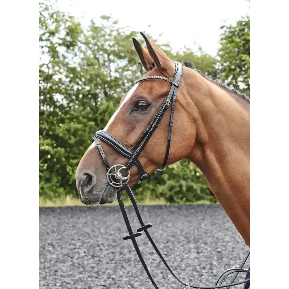 Whitaker Br078 Barton Bling Flash Bridle Black Cob Black Flash Bridles