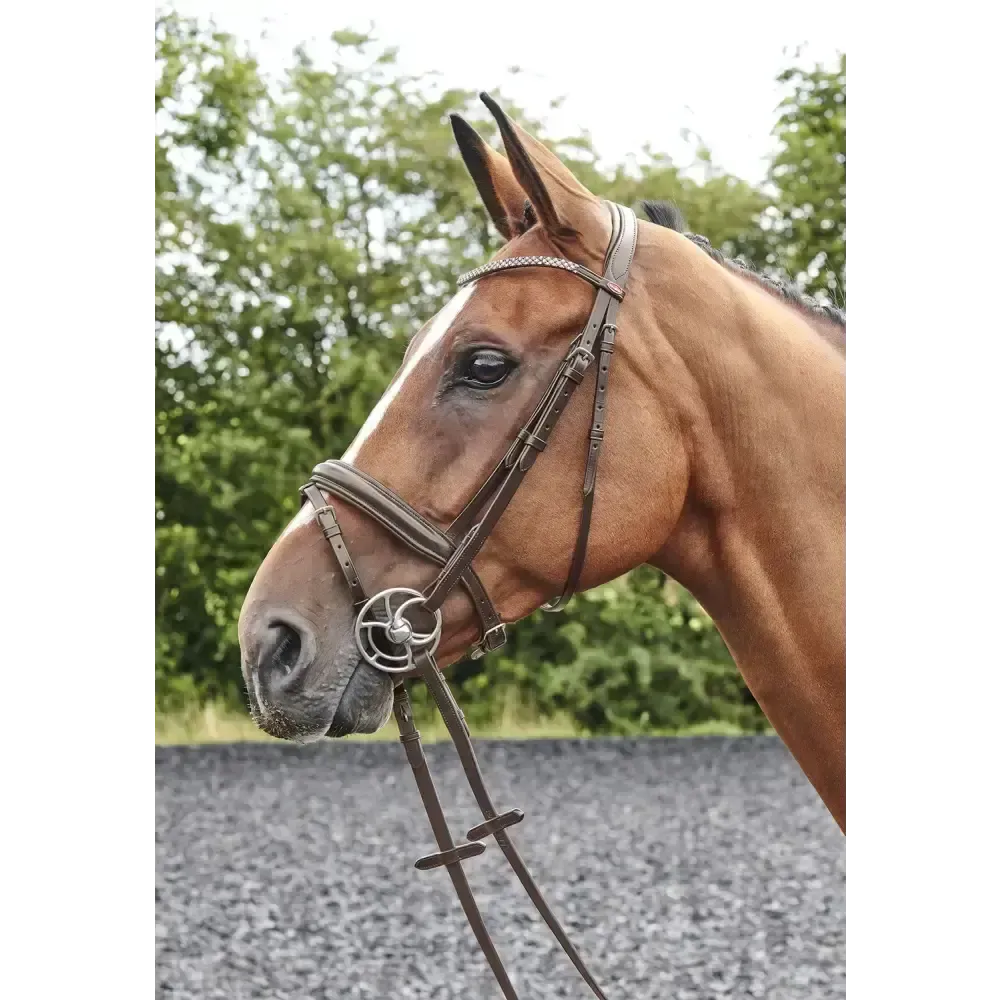 Whitaker Br078 Barton Bling Flash Bridle Havana Cob Havana Flash Bridles