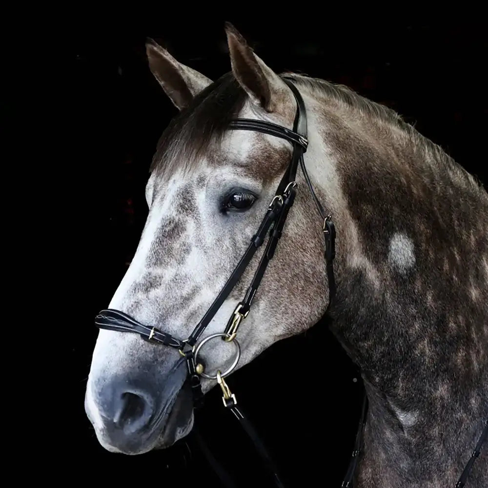 A sleek black leather whitaker br102 rome bridle with polished brass hardware and matching reins black