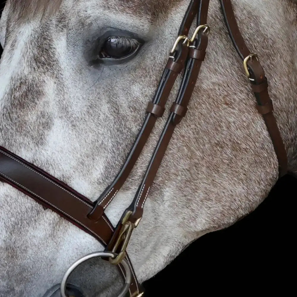 Brown leather whitaker br102 rome bridle with gold toned hardware and reins havana perfect for riding gear