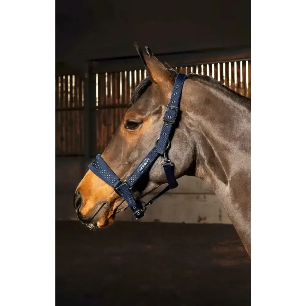 Whitaker Hc061 San Francisco Headcollar Navy Full Navy Headcollars & Lead Ropes