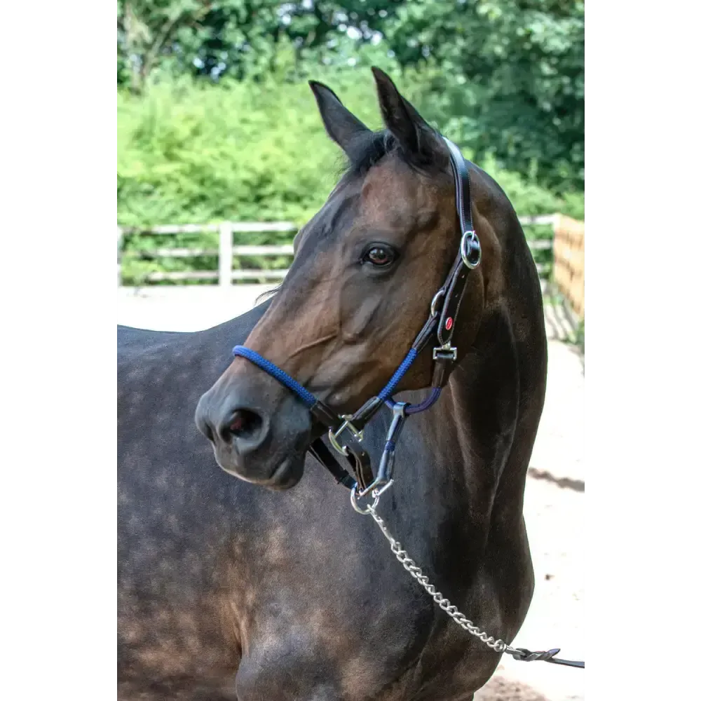 Whitaker Hc065 Raywell Soft Rope Headcollar Brown/Navy Cob Brown/Navy Headcollars & Lead Ropes