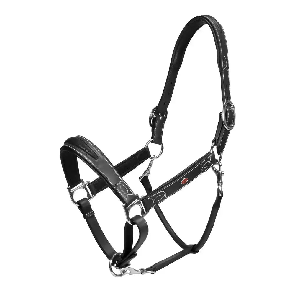 Black leather horse halter whitaker hc070 chicago leather headcollar black with silver hardware and stitched detailing