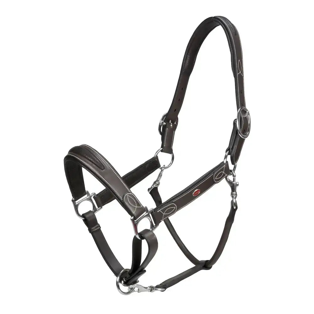 Black leather whitaker hc070 chicago leather headcollar light havana with silver hardware and stitched detailing