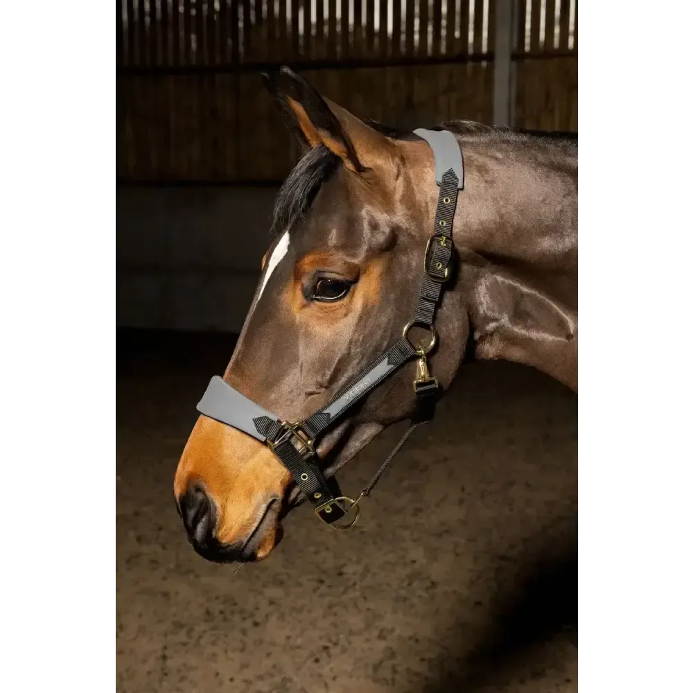 Whitaker Hc096 Harewood Headcollar Grey Full Grey Headcollars