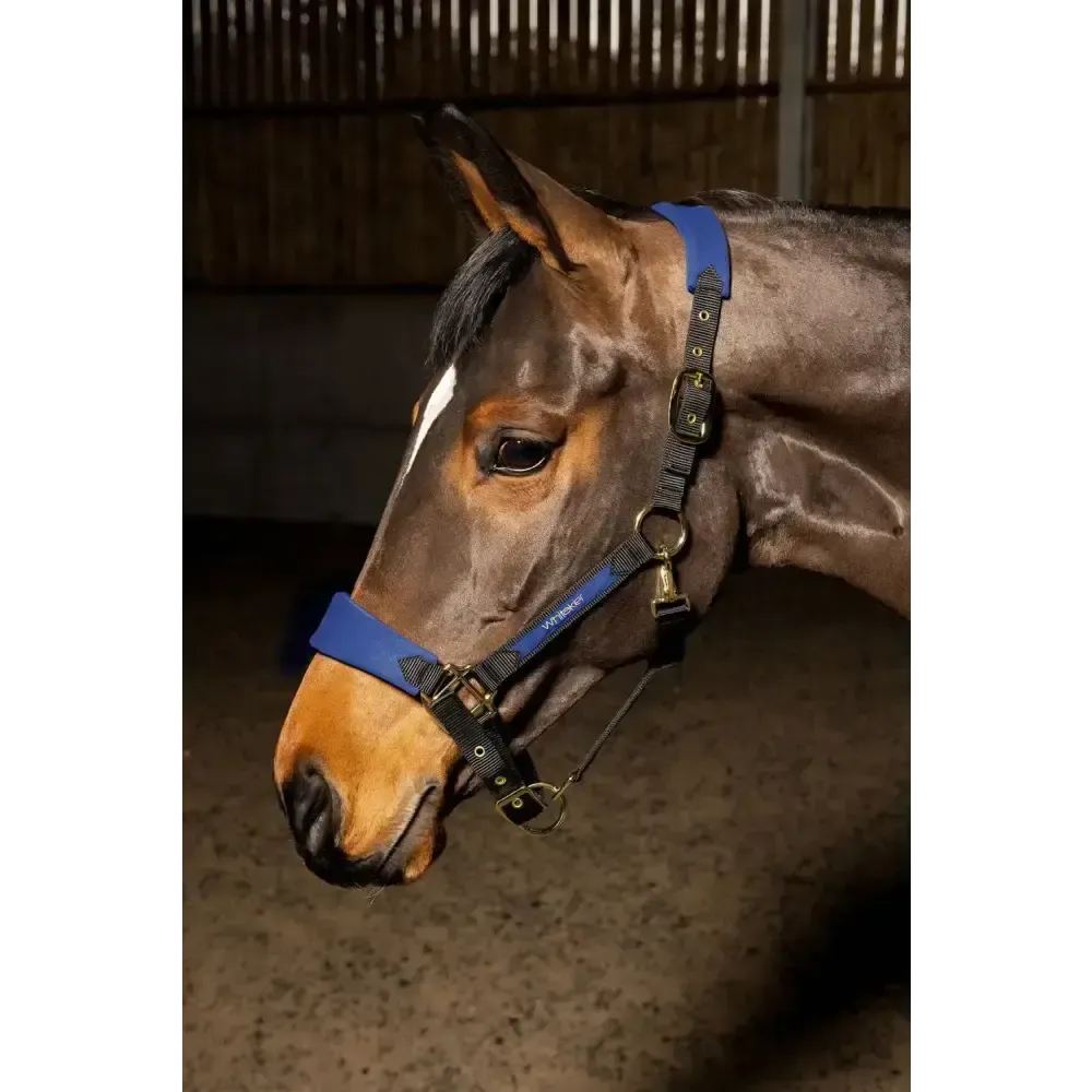 Whitaker Hc096 Harewood Headcollar Navy Full Navy Headcollars