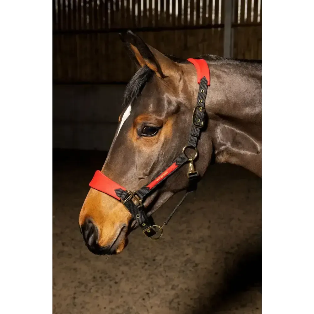 Whitaker Hc096 Harewood Headcollar Red Full Red/Black Headcollars