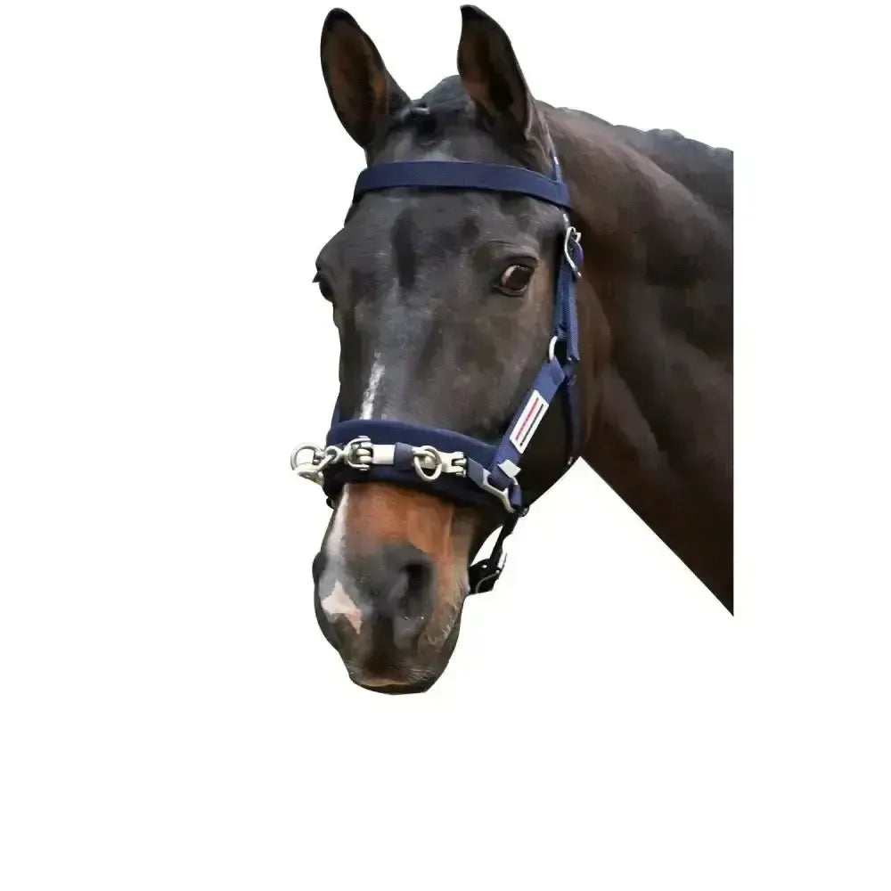 Whitaker Lunge Cavesson Navy Cob Cob Navy Lunging Cavesson