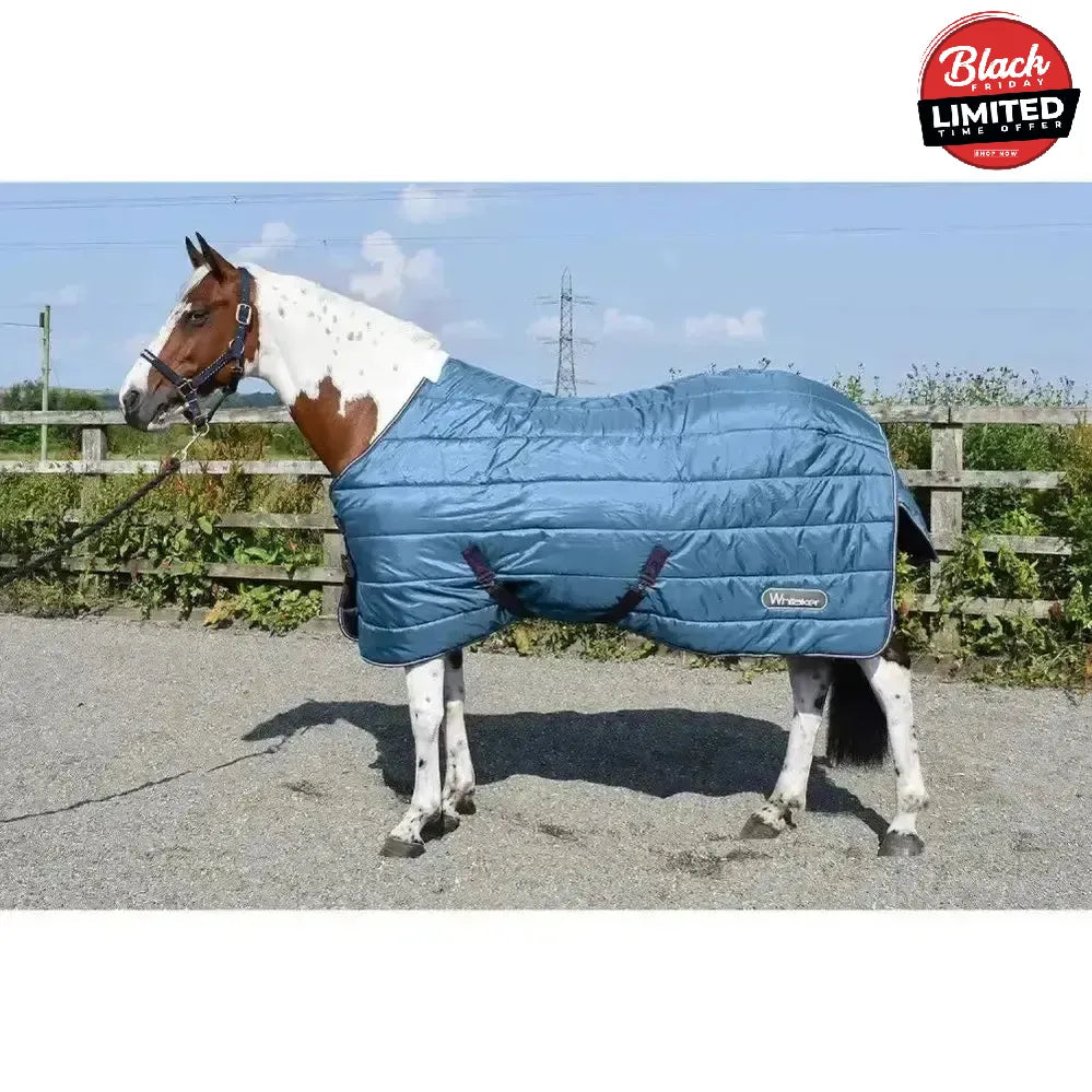 Whitaker Lupin Stable Rug 200gm Teal 7'0" Teal Stable Rugs