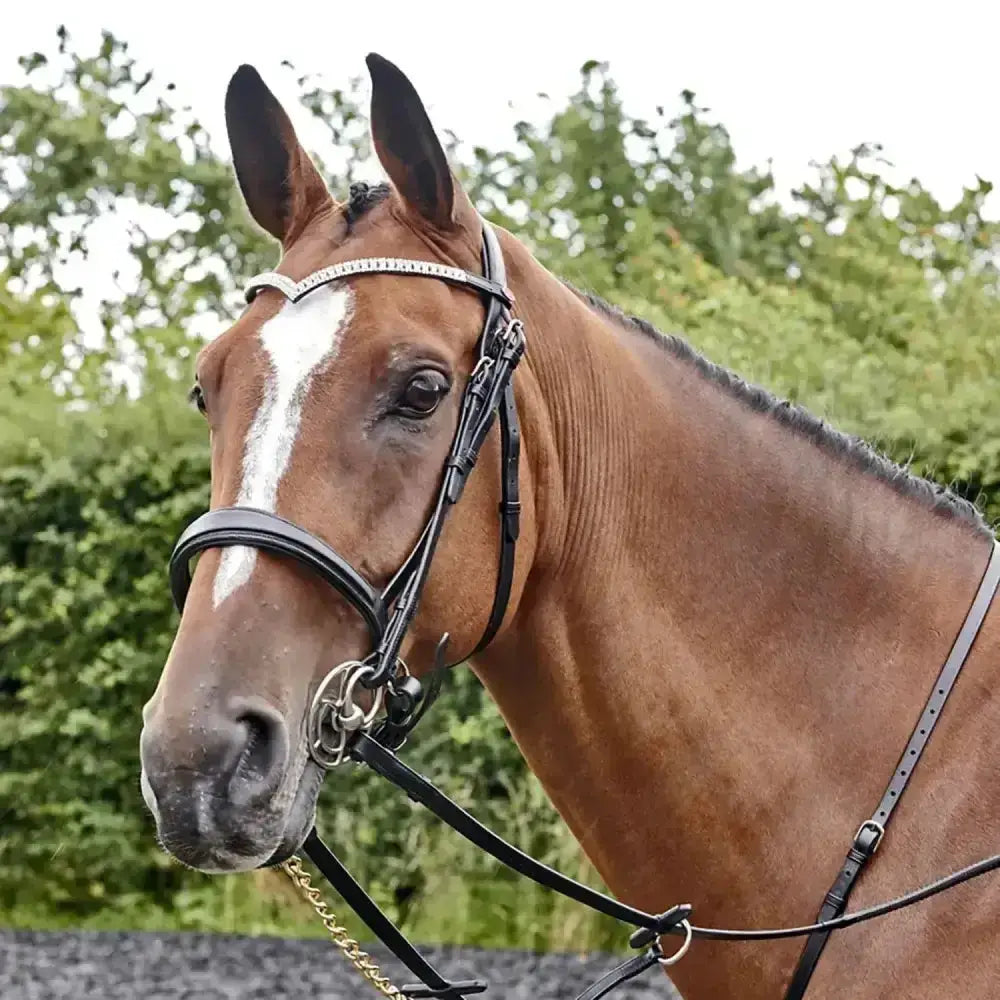 A sleek black leather whitaker lynton snaffle bridle with a silver decorative spare browband havana