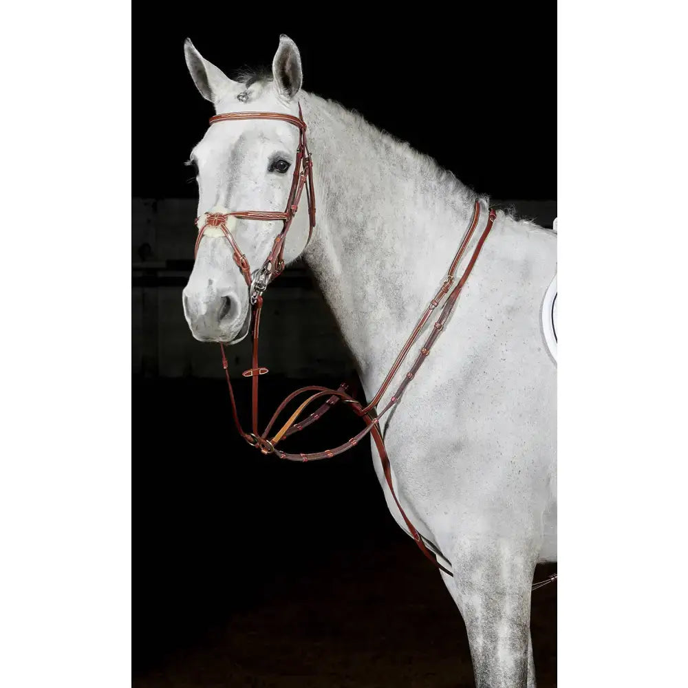 Whitaker ma052 valencia luxury martingale tan made of rich reddish brown leather with polished metal hardware