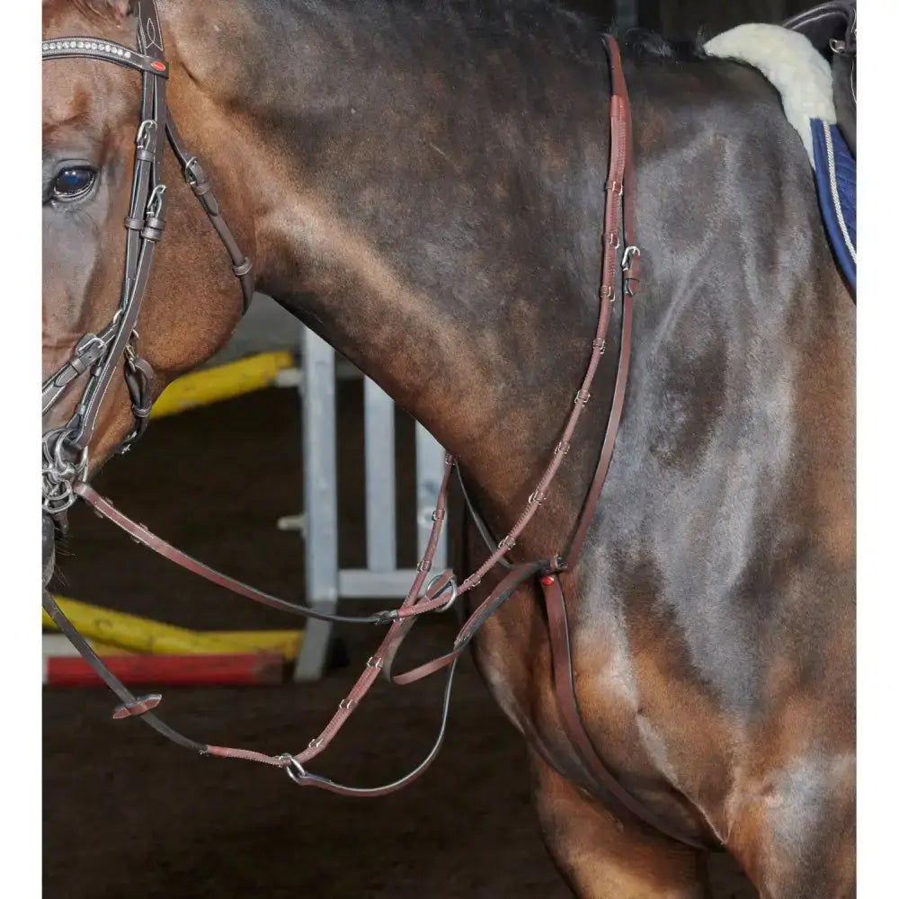 Brown leather horse bridle whitaker ma077 barton martingale havana with silver hardware and decorative stitching