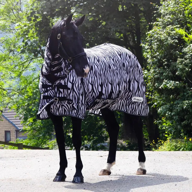 Black and white zebra print whitaker r236 marwell fly rug with black straps and belly flap for horse protection
