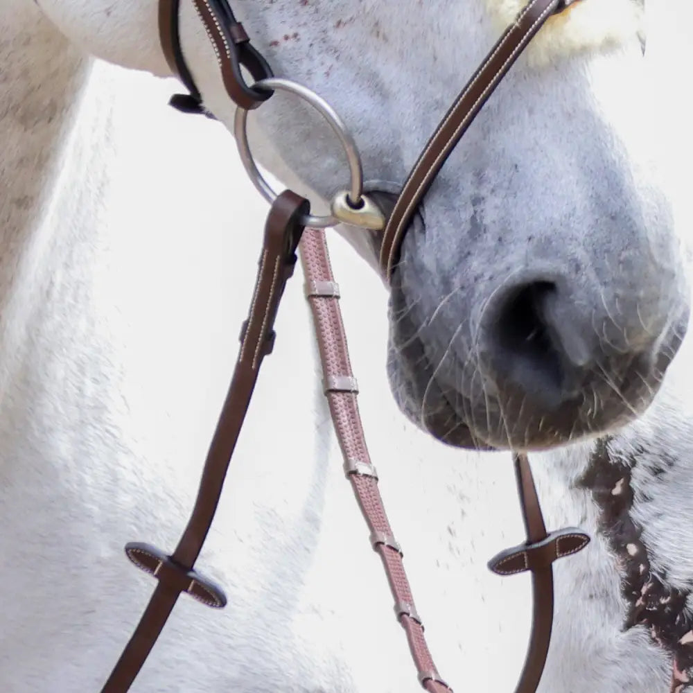 Brown leather horse bridle with silver hardware and pinkish brown padded noseband paired with whitaker pick black billet continental reins