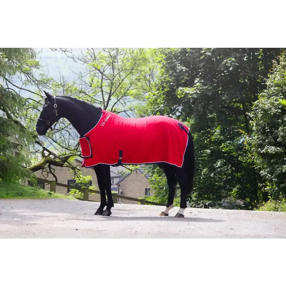 Whitaker R160 Club Show Rug Red 5'9" Red Show Rugs