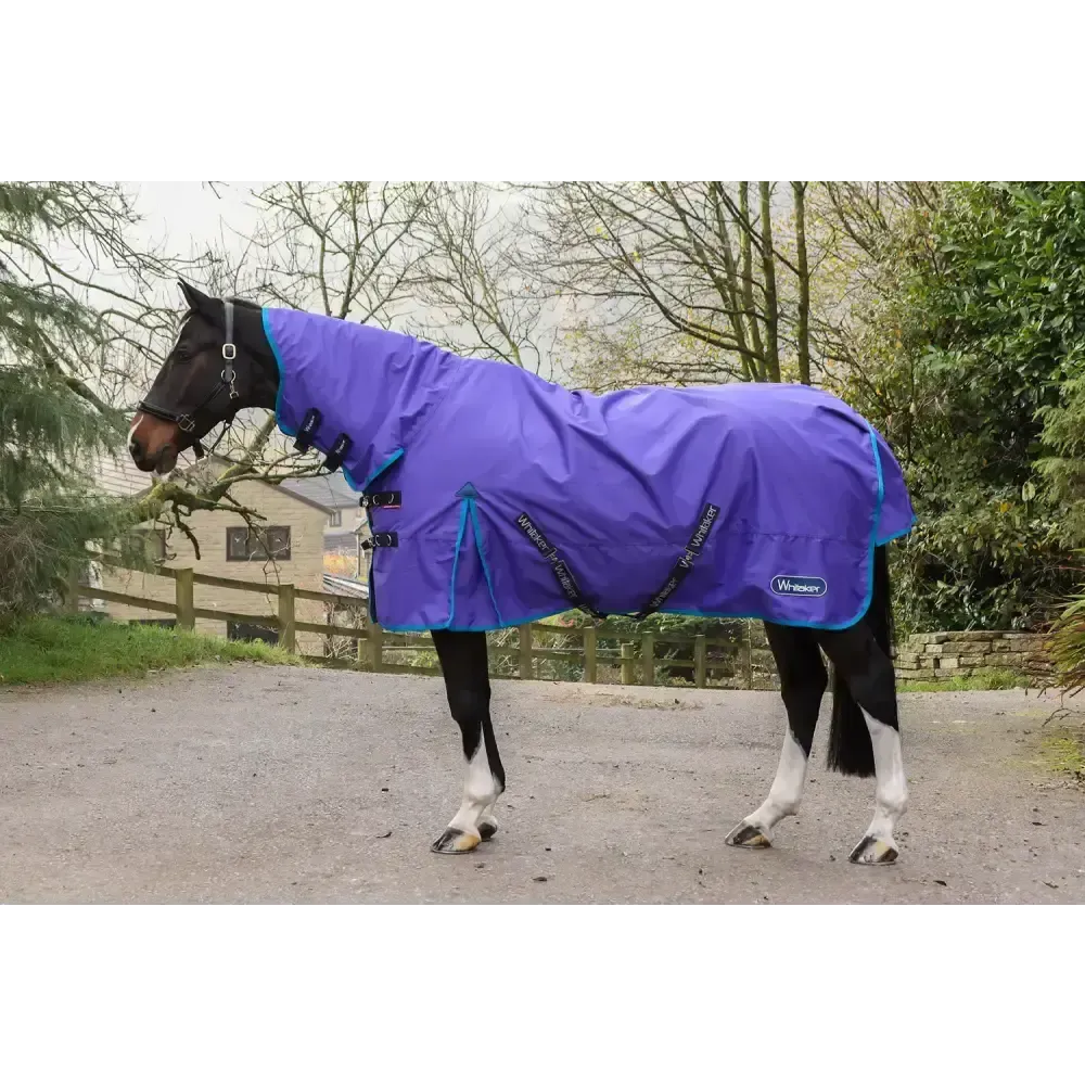Whitaker R441 Rastrick V2 0G Fixed Neck Turnout Rug Purple 4'9" Purple Turnout Rugs