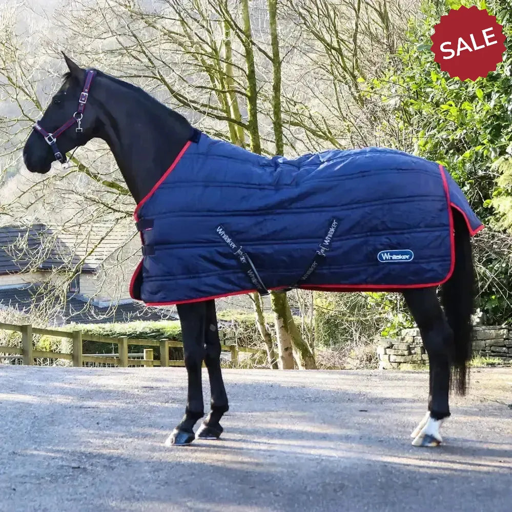Whitaker R450 Rastrick V2 100G Stable Rug Navy 4'9" NAVY Stable Rugs