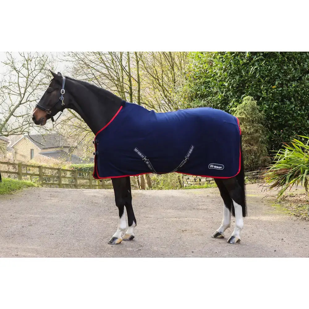 Navy blue fleece rug whitaker r470 rastrick with red trim and white branding snug fit on horse body