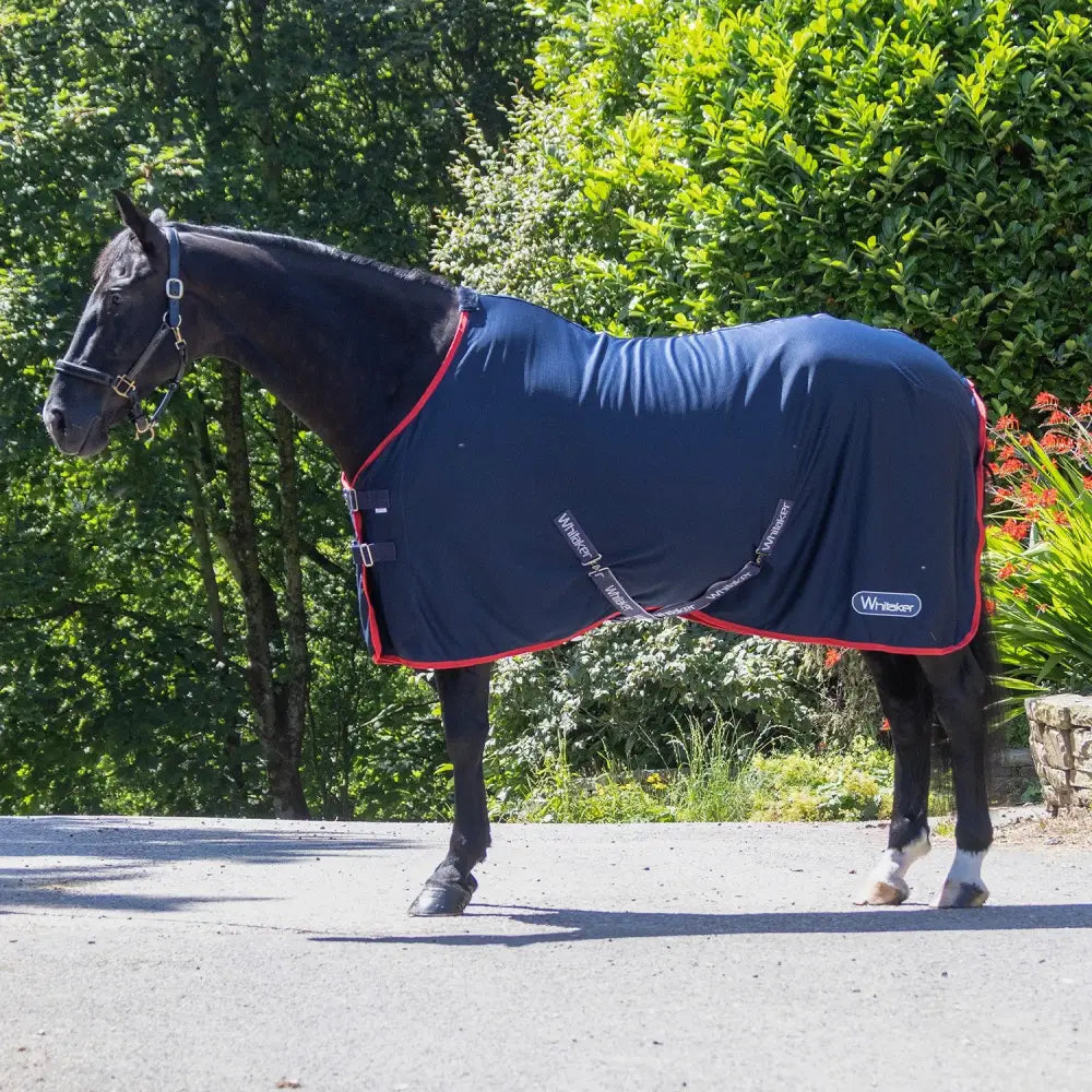 Navy blue whitaker r475 rastrick whizzer horse blanket with red trim t-clip chest fastenings and belly surcingles