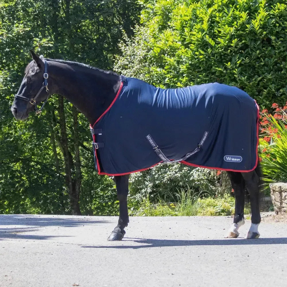 Whitaker R475 Rastrick V2 Cooler Rug Navy 4' 9" Cooler Rugs