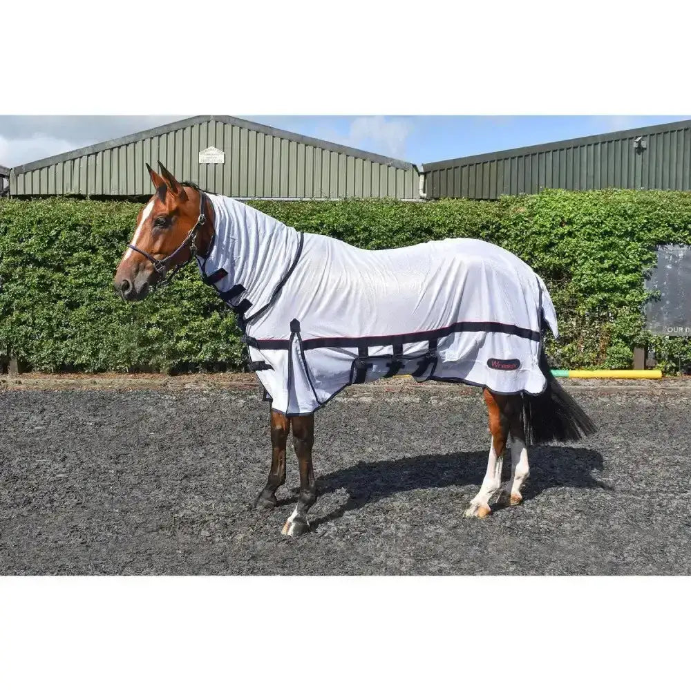 White horse fly rug mesh with black trim and adjustable straps from whitaker rastrick fly with belly flap design