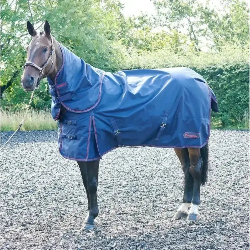 Whitaker Rastrick Turnout Rug Detachable Neck 250gm 4'9" Navy Turnout Rugs