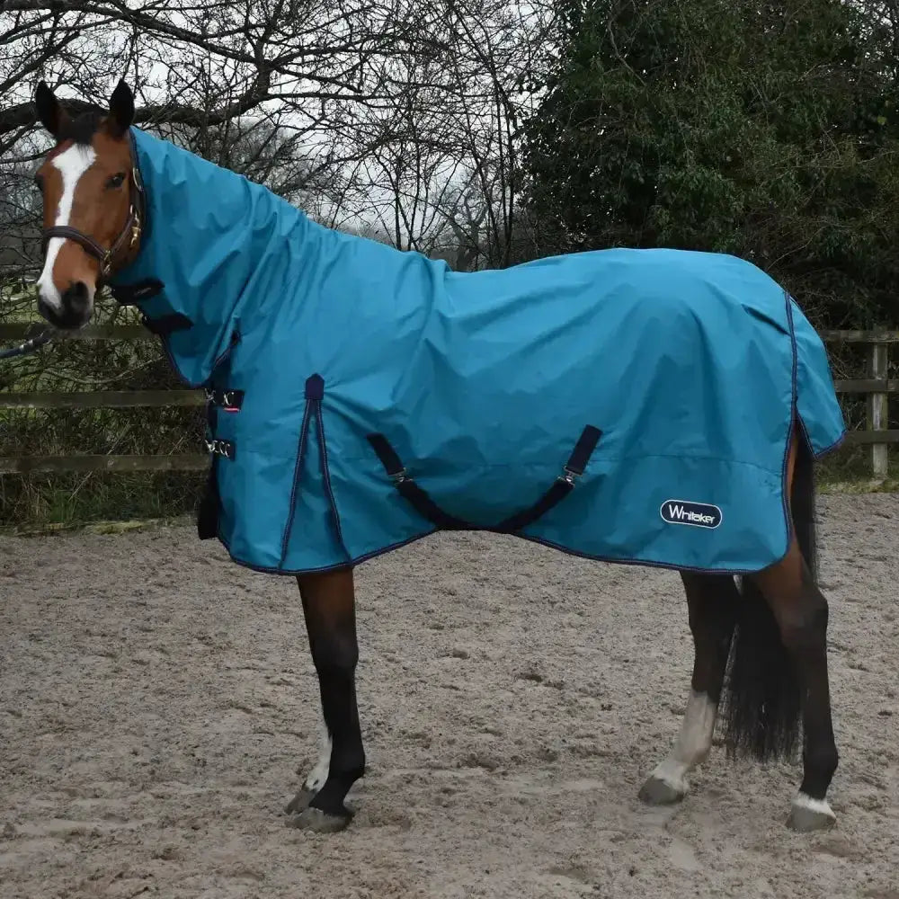 Bright blue whitaker rastrick turnout fixed neck 0gm horse blanket with black straps and trim in turquoise color