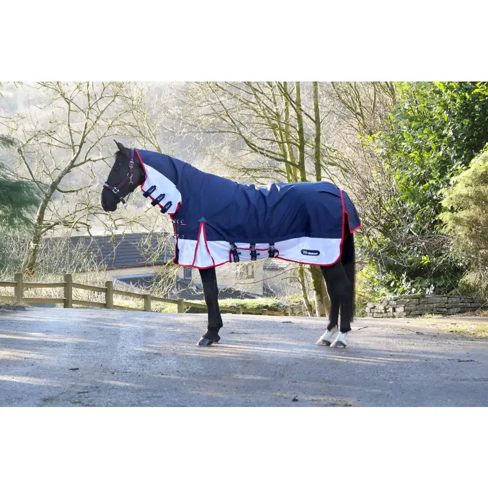 Navy and white whitaker r462 rastrick airflow fixed neck turnout rug with red trim and black buckles by wessex