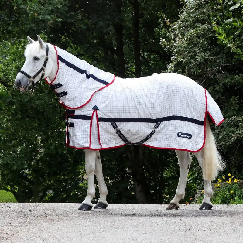 White cool rug whitaker r463 rastrick with subtle grid pattern and bold red navy trim and straps