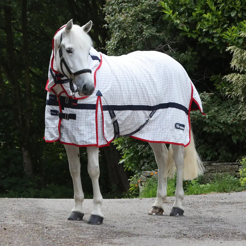 White horse cool rug white with red and navy trim featuring a checkered pattern from whitaker r463 rastrick