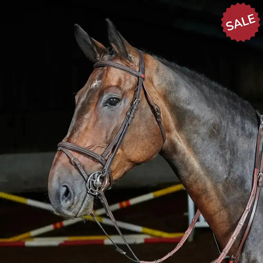 Whitaker Ready To Ride Flash Bridle Pony Black Bridles