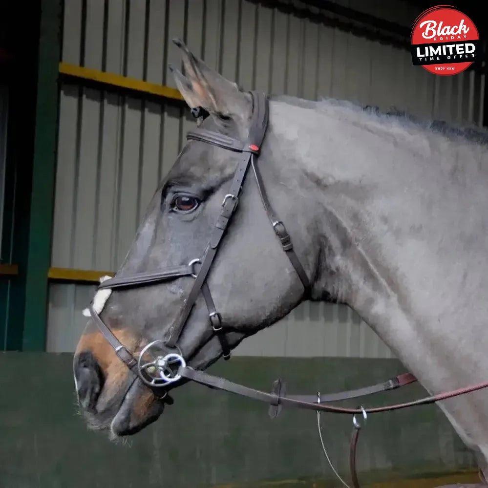 Whitaker Ready To Ride Mexican Bridle Pony Black Bridles