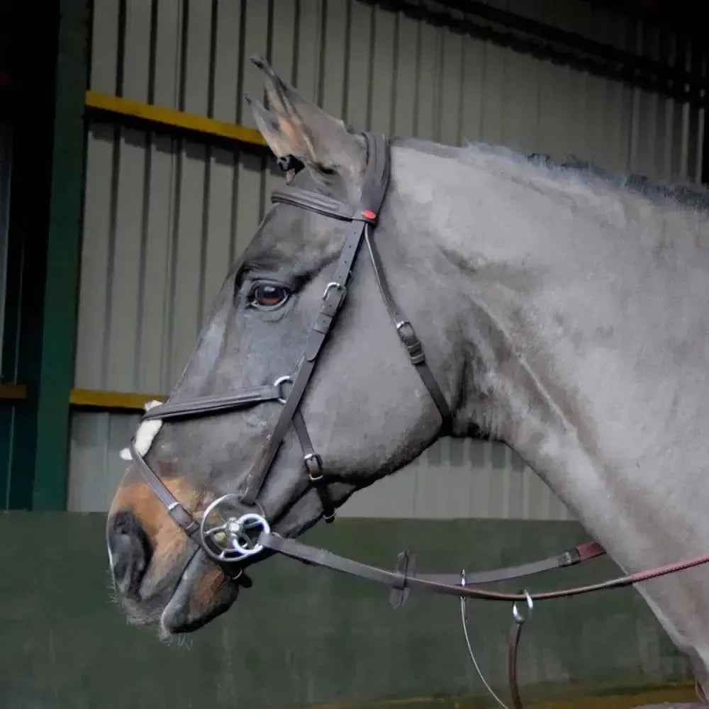 Whitaker Ready To Ride Mexican Bridle Pony Black Bridles