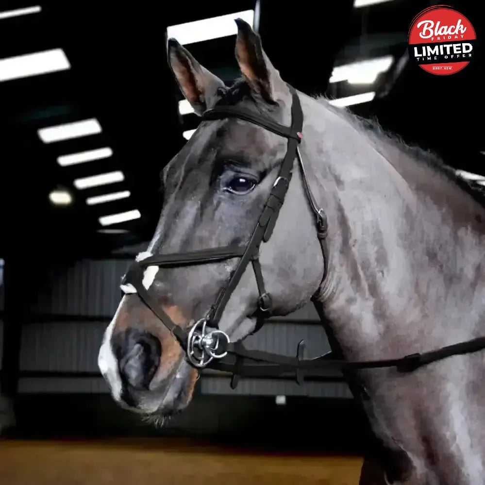 Whitaker Ready To Ride Mexican Bridle Pony Black Bridles