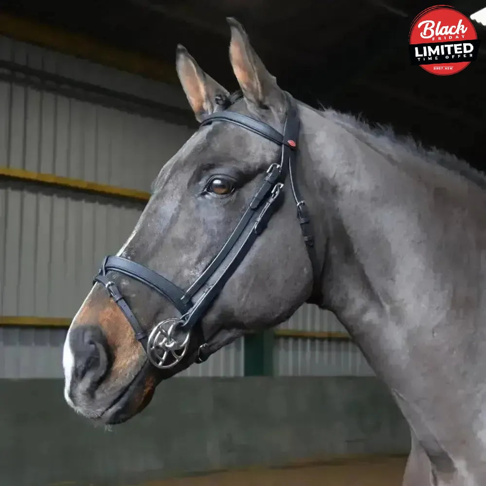 Whitaker Ready To Ride Snaffle Bridle Black Pony Black Bridles