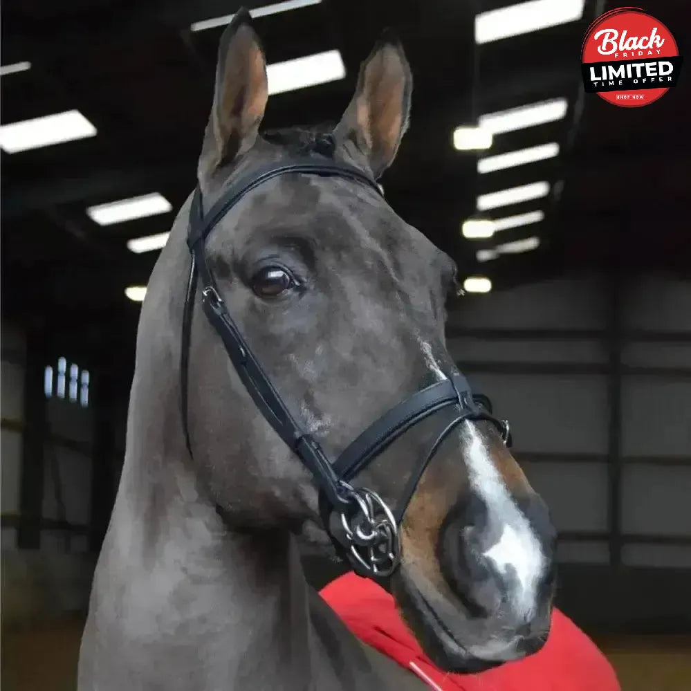 Whitaker Ready To Ride Snaffle Bridle Black Pony Black Bridles