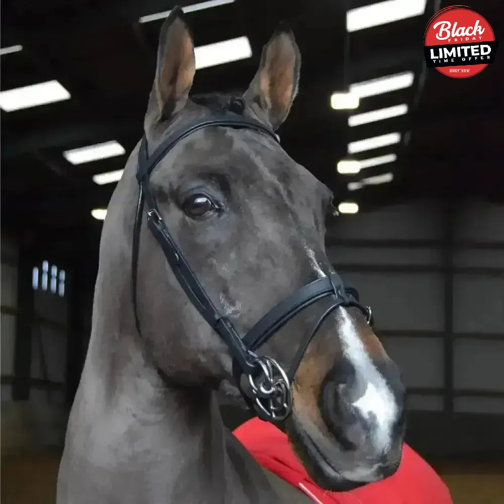 Whitaker Ready To Ride Snaffle Bridle Black Pony Black Bridles