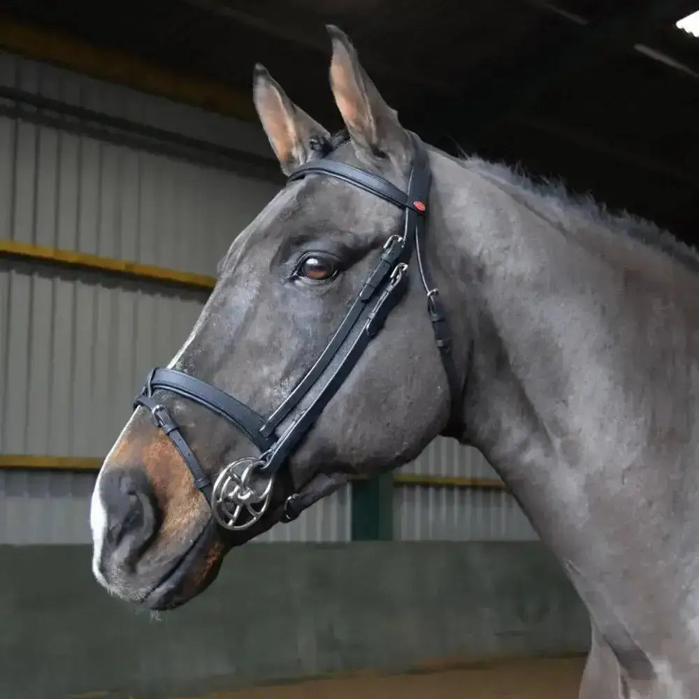 Black leather whitaker ready to ride snaffle bridle with silver buckle and pre-oiled leather noseband in black