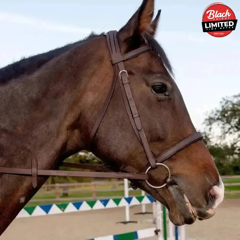 Whitaker Ready To Ride Snaffle Bridle Havana Pony Havana Bridles