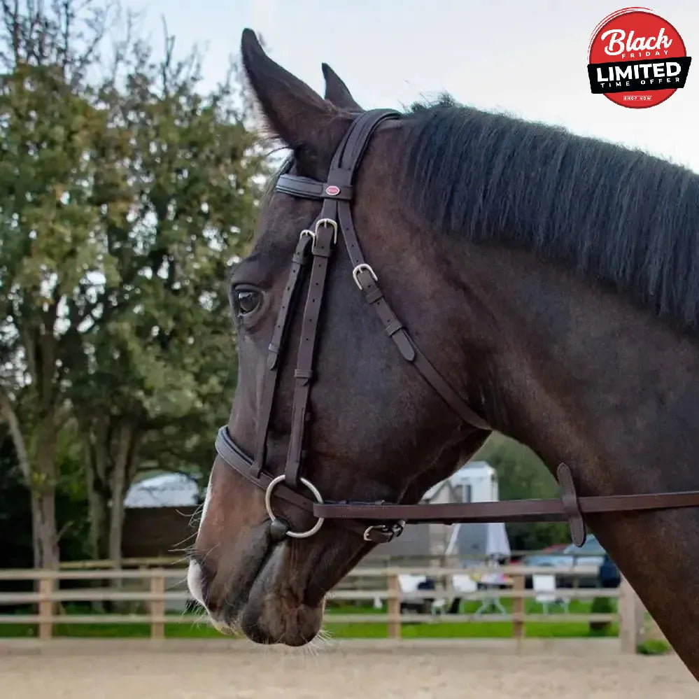 Whitaker Ready To Ride Snaffle Bridle Havana Pony Havana Bridles