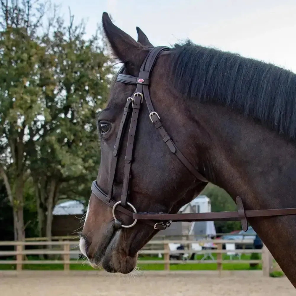 Whitaker Ready To Ride Snaffle Bridle Havana Pony Havana Bridles