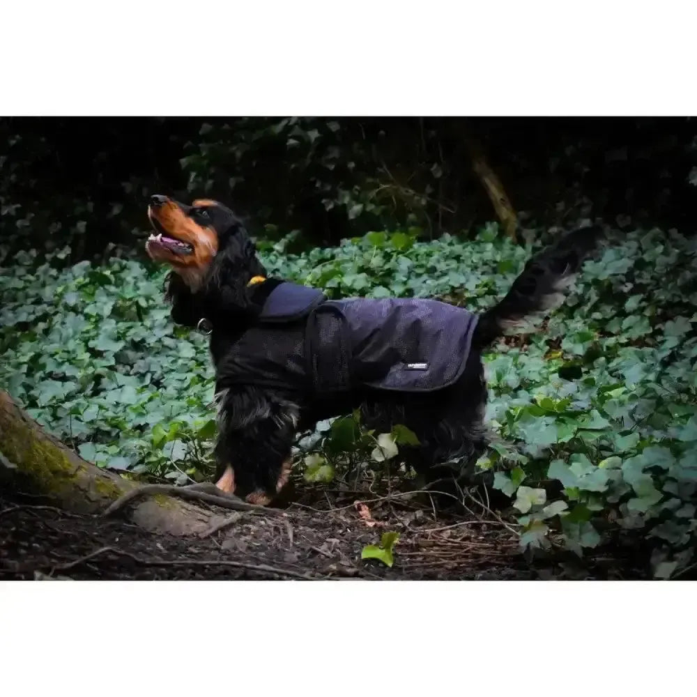 Whitaker Sydney Dog Coat Black Camo Small Black Camo Dog Coat