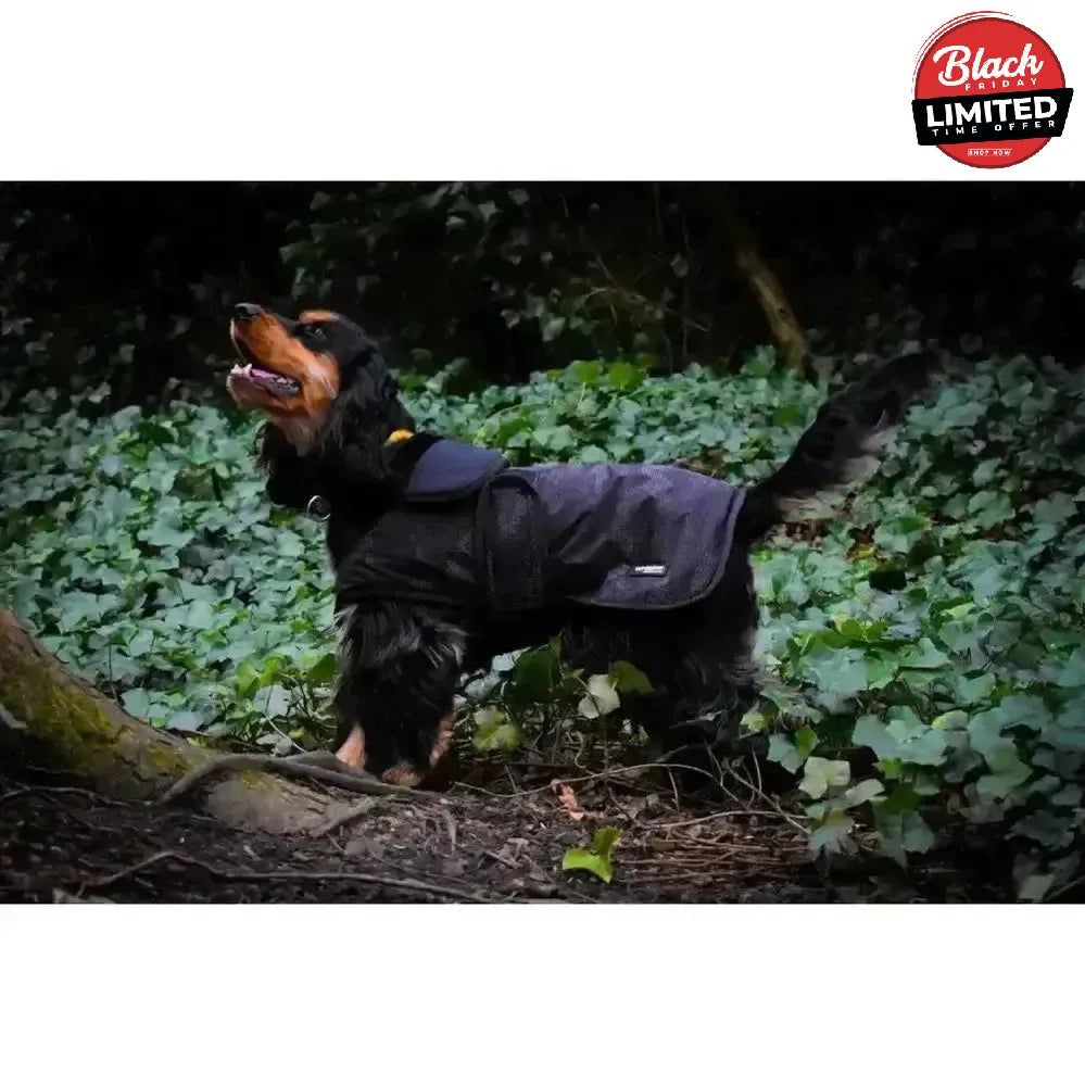 Whitaker Sydney Dog Coat Black Camo Small Black Camo Dog Coat