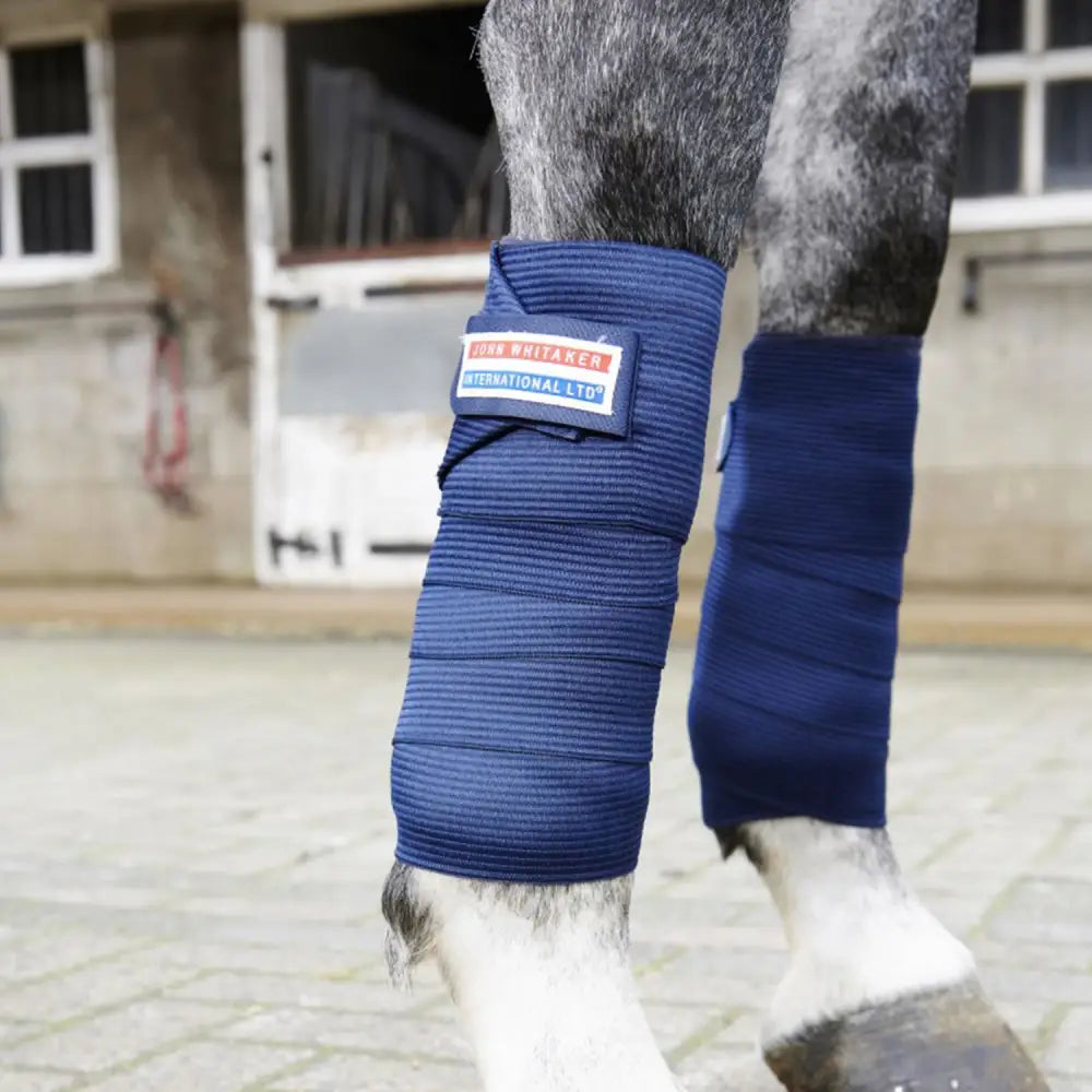 Deep blue ribbed fabric horse leg wrap with branded patch from whitaker tb4 training bandages collection