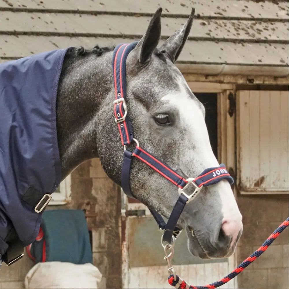 Navy blue and red striped whitaker whcs airflow headcollar set navy rope lead with silver hardware for horses
