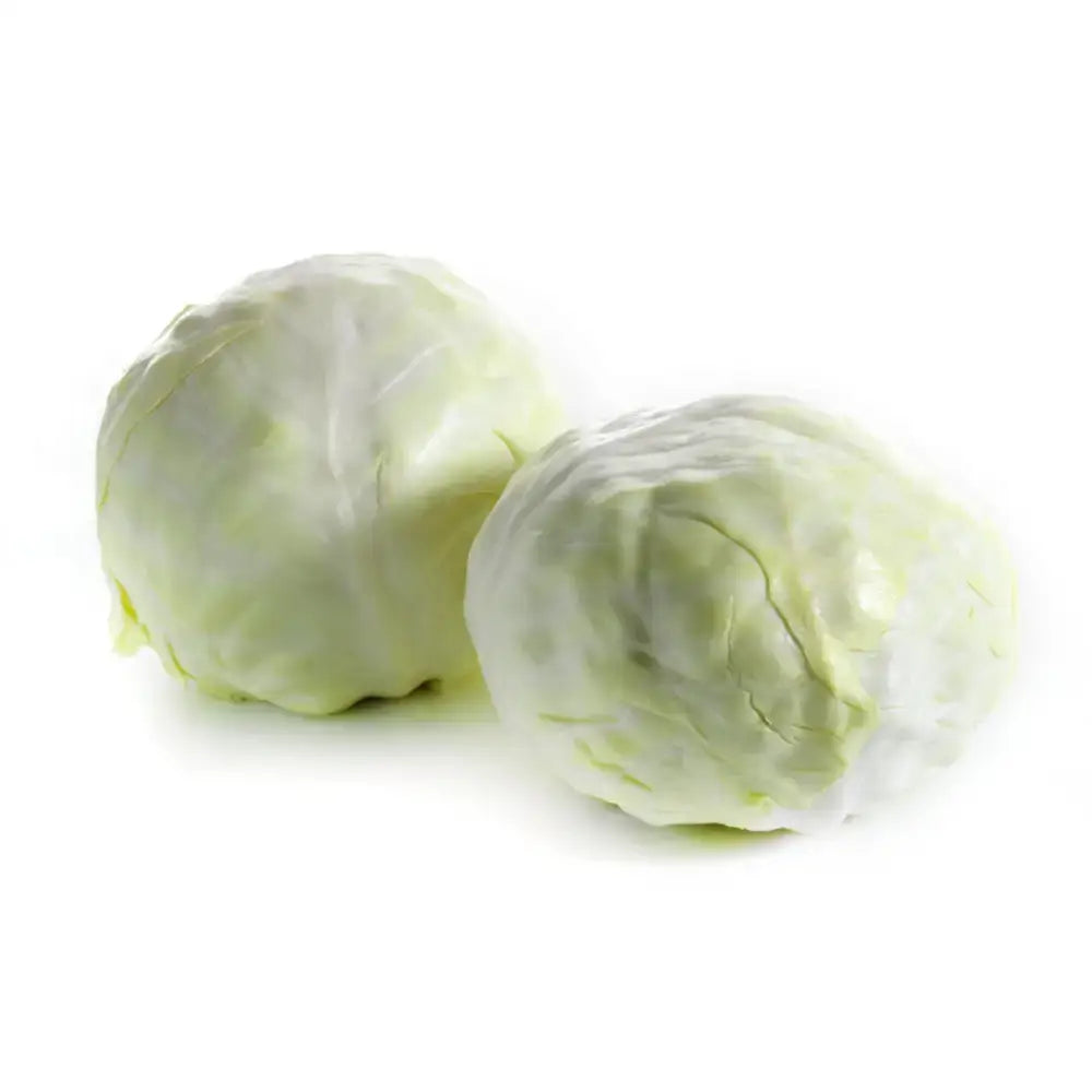 Two fresh green white cabbage heads with tightly packed leaves and a slightly textured surface perfect for salads