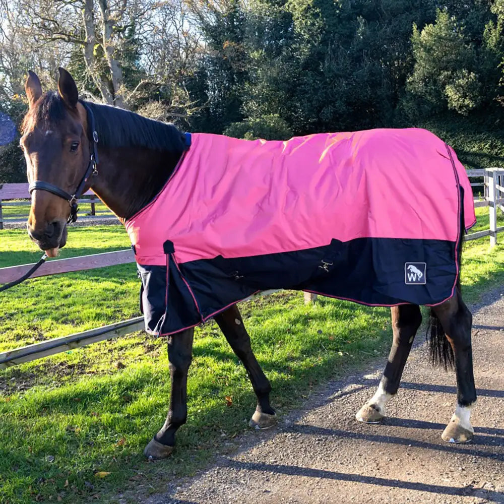 A vibrant turnout rug pink navy with sleek waterproof design perfect for outdoor use on horses