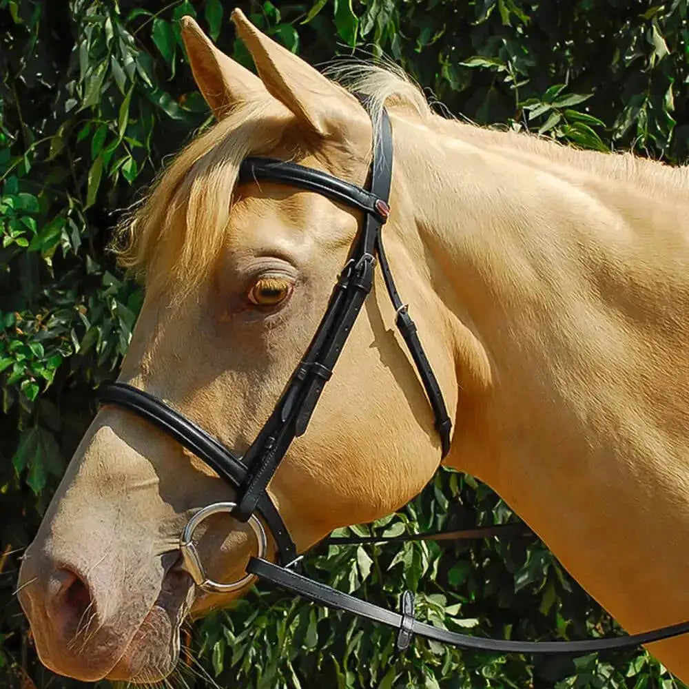 Black leather windsor leather bridle with cavesson noseband and silver metal noseband ring featuring raised browband