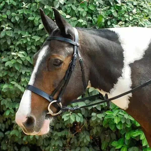 Black leather windsor leather hunter bridle with silver buckle hunter bridle cavesson noseband detail