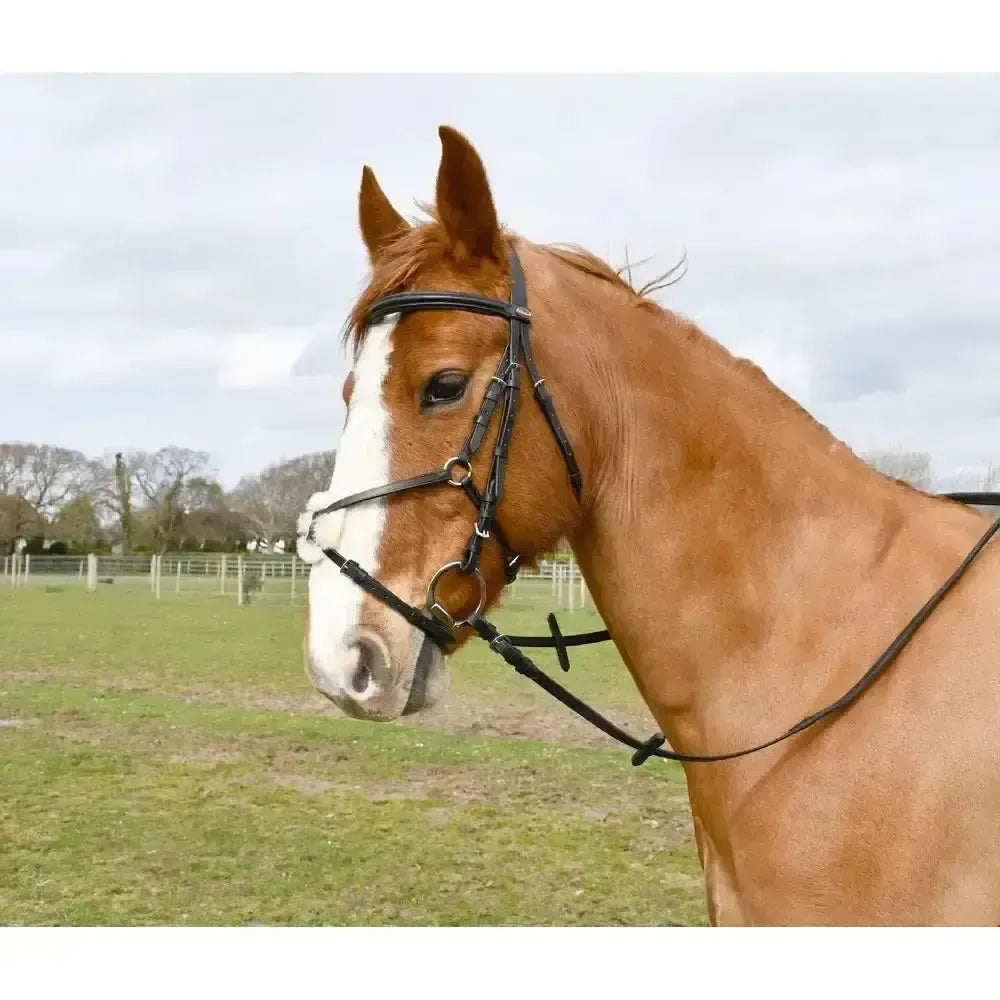 Windsor Mexican Bridle Black Shetland Mexican Bridles